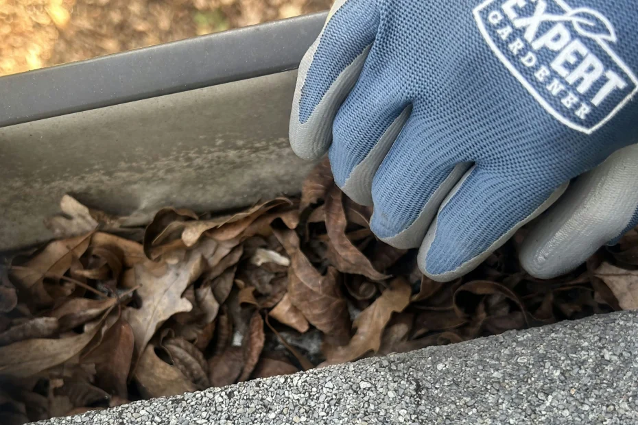 Gutter Cleaning Cockrell Hill